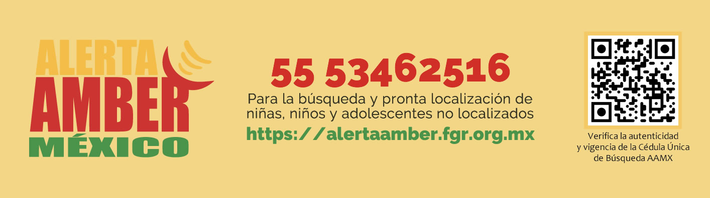 Go to AlertaAmber MX: https://alertaamber.fgr.org.mx